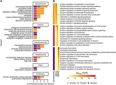 A network-based approach for isolating the chronic inflammation gene signatures underlying complex diseases towards finding new treatment opportunities